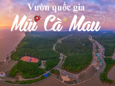 Hành Trình Khám Phá Đất Mũi Cà Mau Bằng Xe Du Lịch Hợp Đồng
